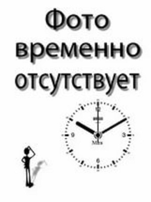 Апостол Симон (рост), в фигурном киоте, с багетом. Большая Храмовая икона 60 х 114 см.